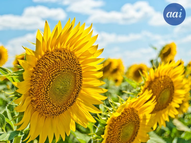 9 Strategic HR Actions to Strengthen Your Business This Summer