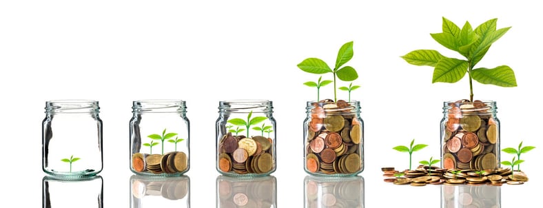 Choose an Insurance Niche Without Limiting Your Growth Potential
