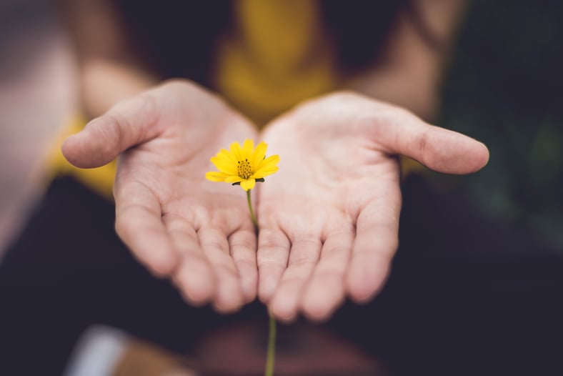 Growing Your Agency: Demonstrating Your Core Values to Improve Client Relations