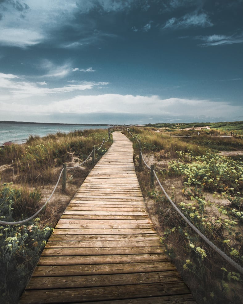 A Decade of Transformation: The Evolving Landscape of the Insurance Industry