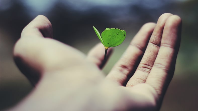 Bridging the Protection Gap: The Role of Life Insurance in a Changing World