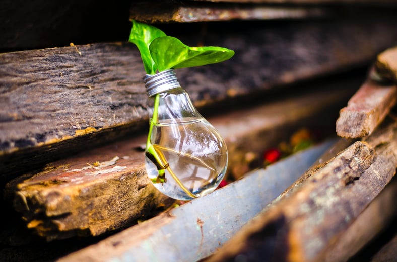 Strategic Business Tips to Accelerate Growth in the Insurance Industry